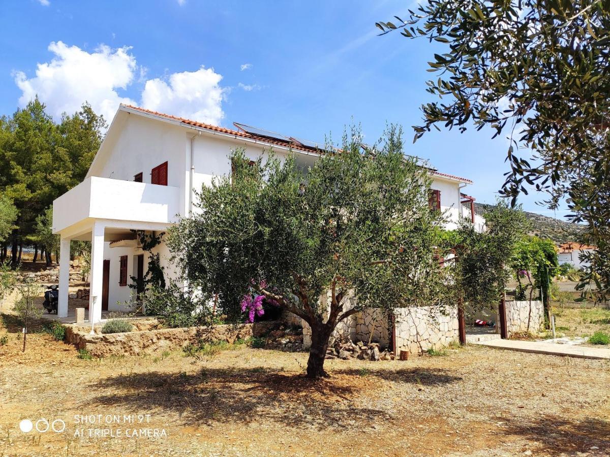 Apartments Zmaj Zavala Εξωτερικό φωτογραφία