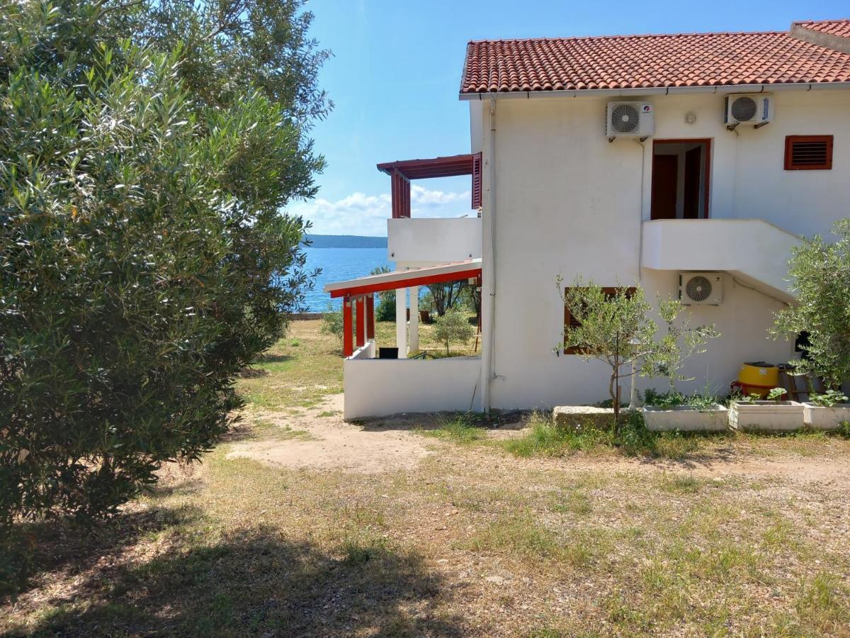 Apartments Zmaj Zavala Εξωτερικό φωτογραφία