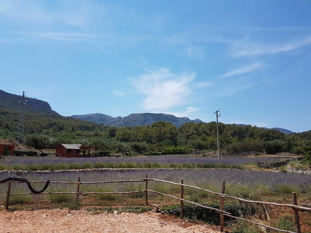 Apartments Zmaj Zavala Εξωτερικό φωτογραφία